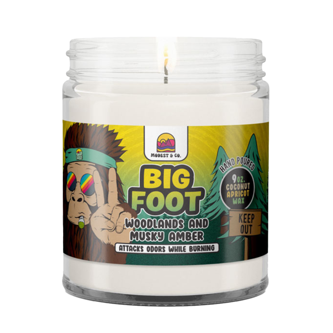 Modest & Co. Odor Fighting Candles